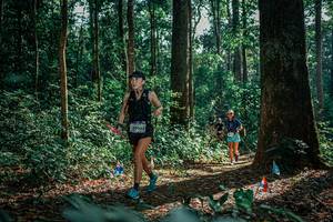 BIB: 
                            <button type="button" onclick="openModal(26132300)" class="btn btn-primary btn-sm float-right btn-popup" data-toggle="modal" data-target=".modal-high-quality">
                        <i class="fas fa-shopping-cart"></i> Add to Cart
                    </button>
                                            <button type="button" onclick="isThisMe(26132300, true)" class="btn btn-success btn-sm float-right btn-popup btn-isme hidden" data-toggle="tooltip" data-placement="bottom" title="นี่คือรูปของคุณใช่ไหม คลิกที่นี่เพื่อเอาเข้าอัลบั้ม">
                        <i class="fas fa-plus"></i> Add to album
                    </button>
                    <button type="button" onclick="isThisMe(26132300, false)" class="btn btn-warning btn-sm float-right btn-popup btn-isnotme hidden">
                        <i class="fas fa-ban"></i> Remove from album
                    </button>